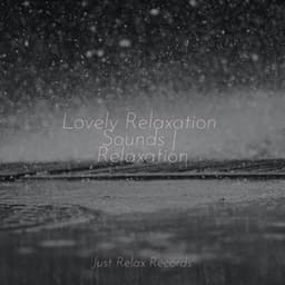 Lovely Relaxation Sounds | Relaxation - Dog Music