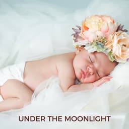 Under the Moonlight - Sweet Dreams Lullaby Studio