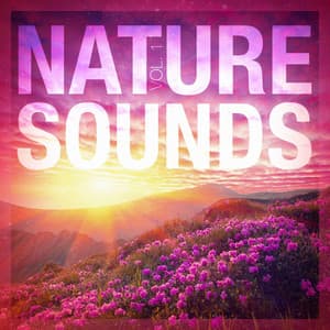 Nature Sounds, Vol. 1 - Relaxing Zen Nature