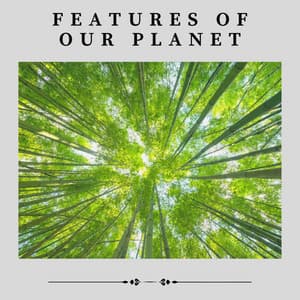 Features of Our Planet - Nature & Sounds Backgrounds