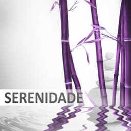 Sernidade - Música Spa e Wellness, Relaxamento, Ioga, Reiki, Sons da Natureza, Sons de Água, Chuva, Calma, Tranquilidade, Música de Fundo, Yoga - Academia de Música para SPA