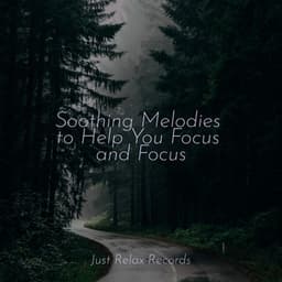 Soothing Melodies to Help You Focus and Focus - Musica para Meditar