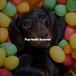 Pup-tastic Summer - Upbeat Morning Music