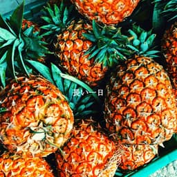 長い一日 - Happy Afternoon Music