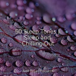 50 Sleep Tones | Sleep and Chilling Out - Chillout Lounge
