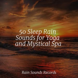50 Sleep Rain Sounds for Yoga and Mystical Spa - Calming Sounds