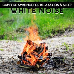 White Noise - Campfire Ambience for Relaxation & Sleep, Loopable - Nature Collective