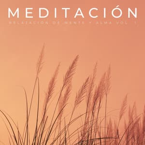 Meditación: Relajación De Mente Y Alma Vol. 1 - Relajación de la meditación del sueño