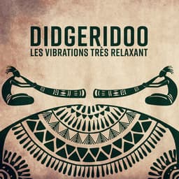 Didgeridoo - Les vibrations très relaxant - Académie de Méditation Spirituelle