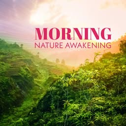Morning Soothing Airflow Awakening - Gary Winter