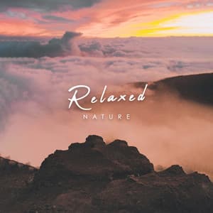 Relaxed Nature - 24H Rain Sounds