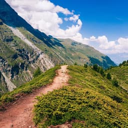 Melodic Nature Trails: A Serene Symphony Under the Sky - Under Bare Sky