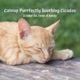 Catnap Purrfectly Soothing Cicadas: A Chilled-Out Forest of Insects - Next Nature