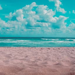 1 Coastal Night: Tidal Rest - Seascapers