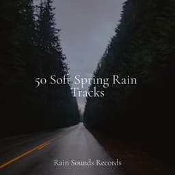 50 Soft Spring Rain Tracks - Lucid Dreaming Music