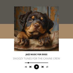 Snoozy Tunes for the Canine Crew - Jazz Music for Dogs