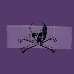 Trumpet Bossa - Background for October WFH - Rio Bossa Nova Quartet