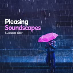 Pleasing Soundscapes - Rain Noise Sleep