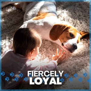 Fiercely Loyal - Calming for Dogs