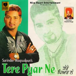 Tere Pyar Ne - Ashok Sharma