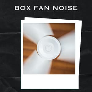 Box Fan Noise - Fan Sounds For Sleep