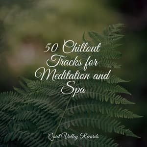 50 Chillout Tracks for Meditation and Spa - Rainforest Sounds