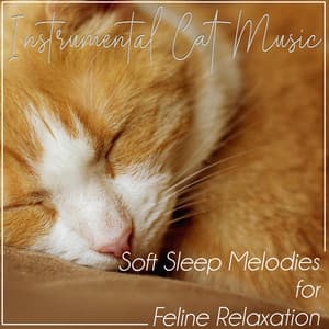 Instrumental Cat Music: Soft Sleep Melodies for Feline Relaxation - RelaxMyCat