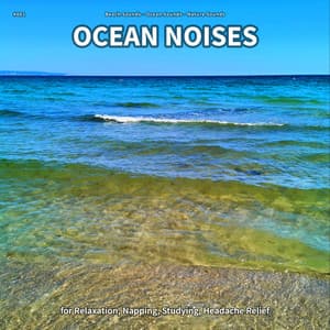 #001 Ocean Noises for Relaxation, Napping, Studying, Headache Relief - Beach Sounds