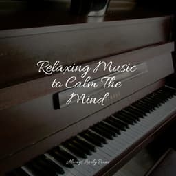 A Calm Therapy for the Soul - Background Piano Music.