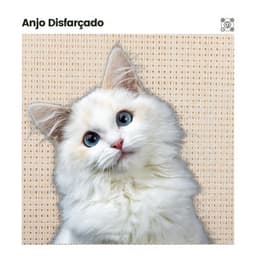 Anjo Disfarçado - Musica para Gatos