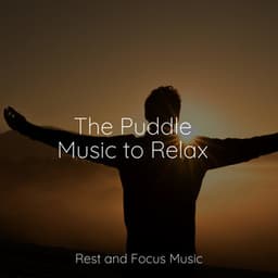 The Puddle Music to Relax - Deep Focus