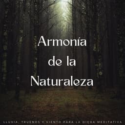 Armonía De La Naturaleza: Lluvia, Truenos Y Viento Para La Dicha Meditativa - Sonidos de lluvia y truenos