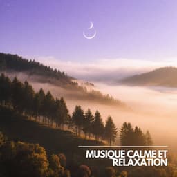 Bain de Son Paix Intérieure - Musique Calme et Relaxation