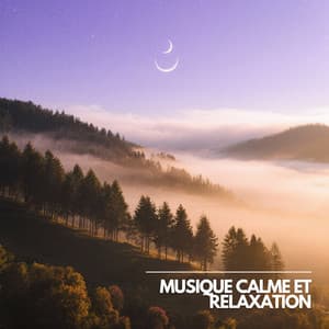 Bain de Son Paix Intérieure - Musique Calme et Relaxation