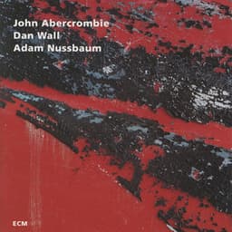 While We're Young - John Abercrombie