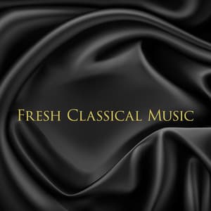 Fresh Classical Music - Dramatic Emotion Climax - Classical Piano Background