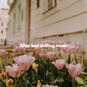 After bed chilling music - Classic Bosas Nova Radio