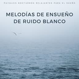 Melodías De Ensueño De Ruido Blanco: Paisajes Nocturnos Relajantes Para El Sueño - Ruido blanco para un sueño absoluto