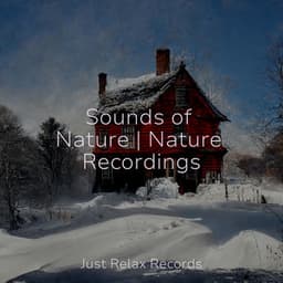 Sounds of Nature | Nature Recordings - Meditation Spa