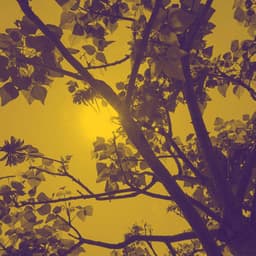 Music for Cool Trips - Jazz for Hotel Lobbies