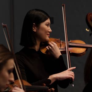 Soft Symphony: Orchestra for Peaceful Evenings - Charles Anderson