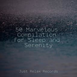 50 Marvelous Compilation for Sleep and Serenity - Anxiety Relief