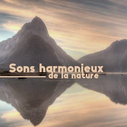 Sons harmonieux de la nature: Musique la plus apaisante et la plus paisible pour la détente - Chriss Aum
