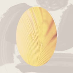 Feelings for Seasonal Feelings - Cosy Music Deluxe