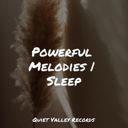 Powerful Melodies | Sleep - Deep Sleep FX