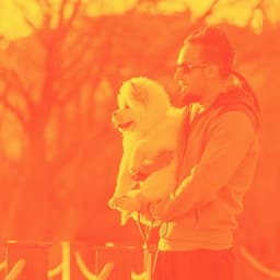 Suave Guitar Jazz - Background for Comforting Puppies - Relaxing Music for Dogs