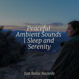 Peaceful Ambient Sounds | Sleep and Serenity - Lounge relax