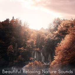 Beautiful Relaxing Nature Sounds - Nature Sounds