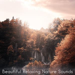 Beautiful Relaxing Nature Sounds - Nature Sounds