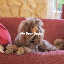 My Dear Doggo - Alegre Música para Cocinar